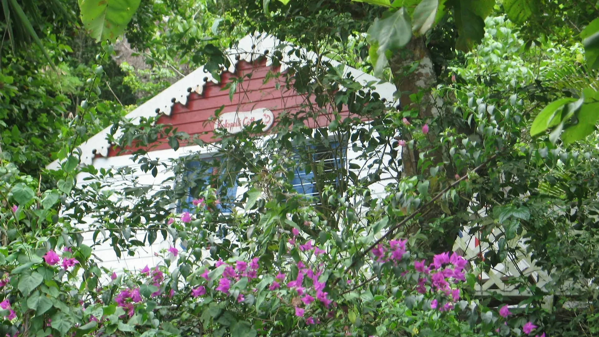 El Momo Cottages Windward Side Hotel